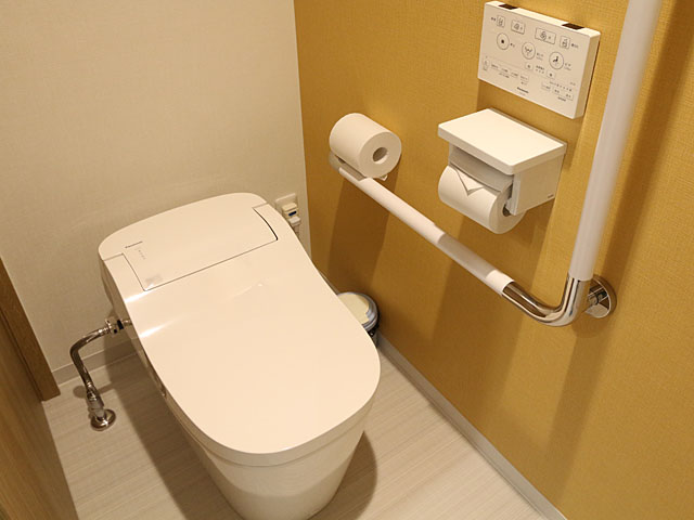barrier-free toilet