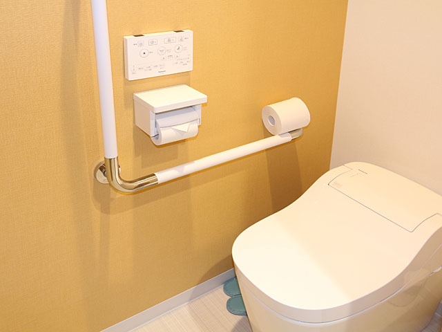 barrier-free toilet